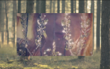 A background of green forest. In the center is a smaller picture of a red-haired woman with a jeweled veil covering her face.
